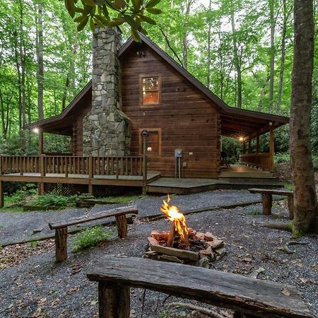 Creekside Bunkhouse Βίλα Whittier Εξωτερικό φωτογραφία